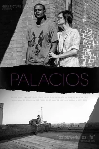 Palacios (2017)
