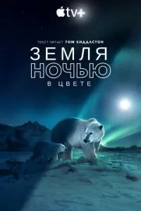 Земля ночью в цвете (1 сезон)