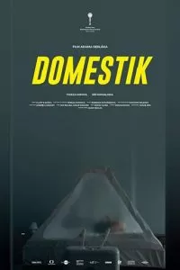 Домашний режим