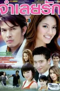 В плену любви (2008)