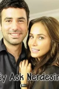 Где ты, любовь (2009)