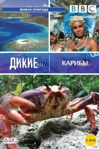 BBC: Дикие Карибы (2007)